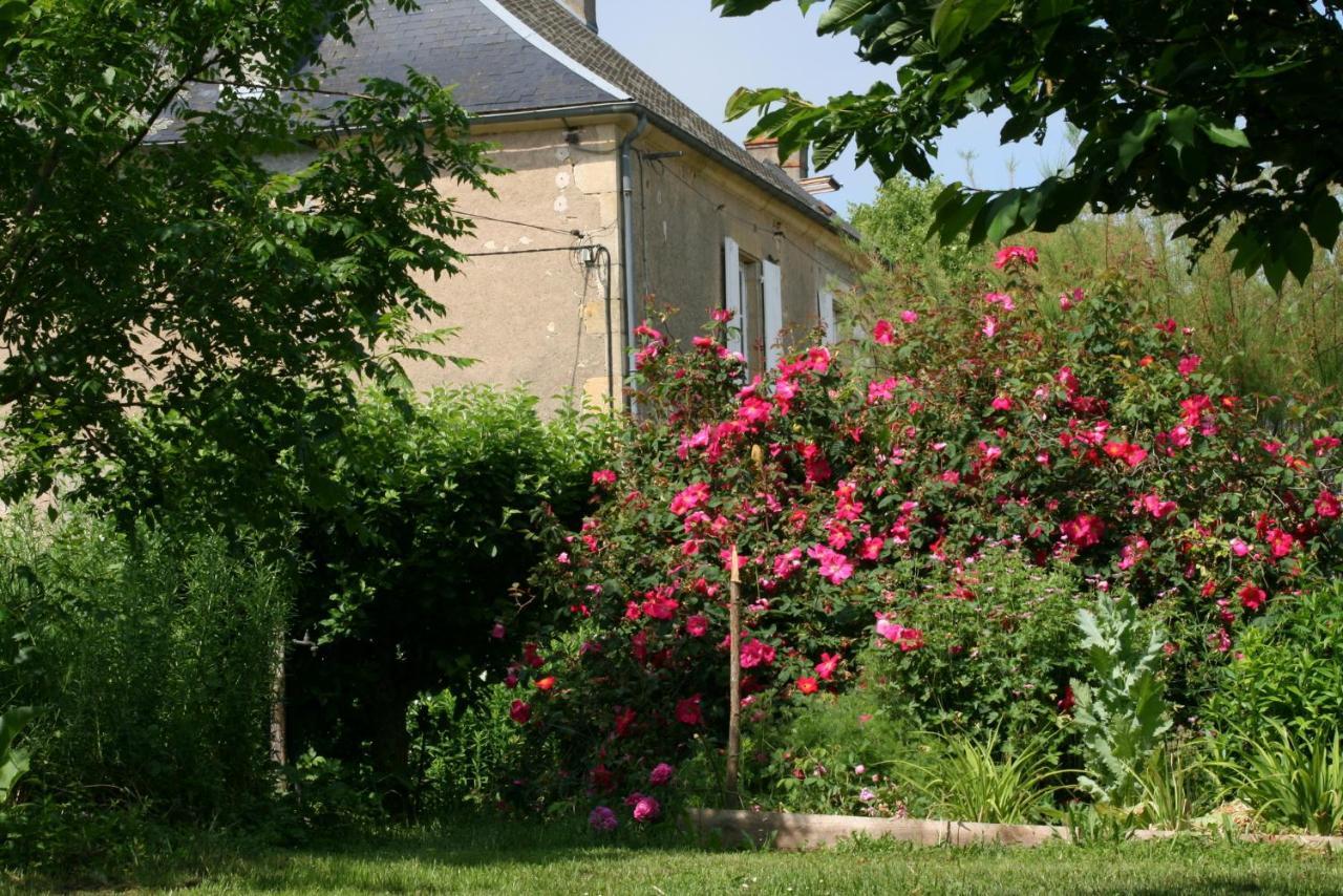 Chambres D'Hotes Du Jay La Guerche-sur-l'Aubois Exteriör bild